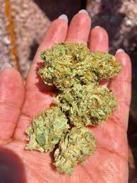 Buy Gorilla Glue 4 Online Brisbane Buy Cannabis in Brisbane. It delivers heavy-handed euphoria and relaxation, leaving you feeling “glued” to the couch.