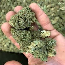 Buy Bubba Kush Online Perth Buy Weed Online Australia. Sweet hashish flavors with subtle notes of chocolate and coffee come through on the exhale.