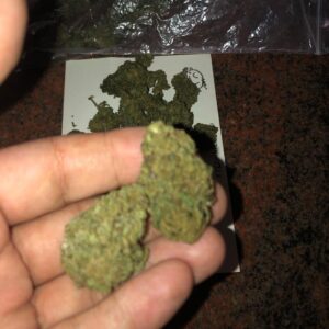 Harlequin Marijuana Strain Australia | Buy Weed Online