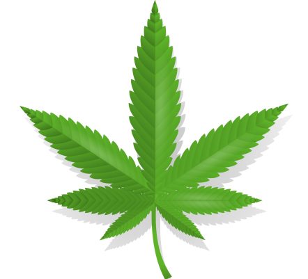 Cannabis leaf medcial icon isolated vector illustration